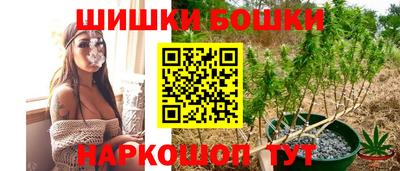 стаф Гусь-Хрустальный