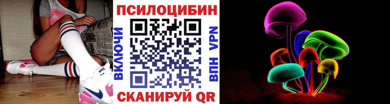 купить наркотик  блэк спрут зеркало  Псилоцибиновые грибы Psilocybine cubensis  Моздок 