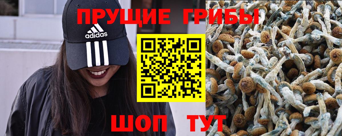 Моздок  Галлюциногенные грибы Magic Shrooms  Вход с VPN 