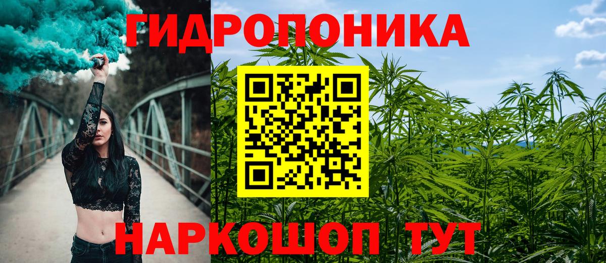 Канабис план Моздок